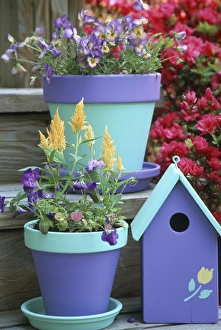 Stairs Prints: Containers with Sorbet Yellow Delight & Lemon Swirl Violas & Celosia with bird house