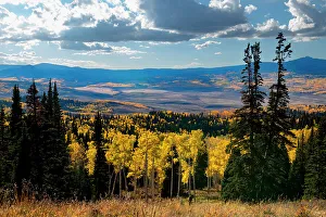 Images Dated 2023: Continental Divide mountains and aspens, Colorado, Walden, USA