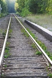 Converging railway tracks. Smaland region. Sweden, Europe