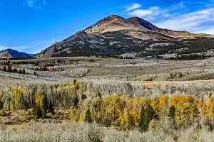 Images Dated 21st October 2014: Conway Pass; HWY 395; USA; California; Lee Vining
