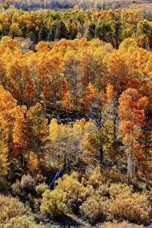 Lee Vining Prints: Conway Pass; Mono county; USA; Lee Vining; California