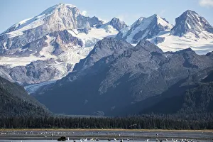 Prints of Cook Inlet, Lake Clark National Park and Preserve, Alaska Images Dated 2020 March: Cook Inlet, Lake Clark National Park and Preserve, Alaska