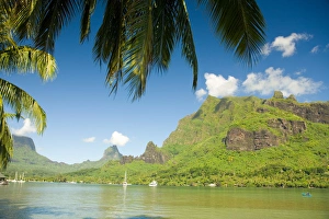 Images Dated 21st May 2006: Cooks Bay, Morea Island, French Polynesia, South Pacific