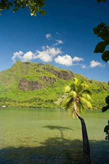 Images Dated 21st May 2006: Cooks Bay, Morea Island, French Polynesia, South Pacific