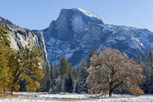 Vivid Prints: Cooks Meadow. Autumn first snow in Yosemite National Park, California, USA