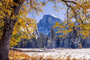 Images Dated 10th June 2021: Cooks Meadow. Autumn first snow in Yosemite National Park, California, USA