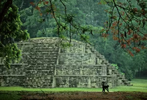 Images Dated 16th November 2006: Copan, Honduras, Maya, Royal Tomb