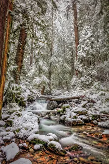 Michael Schertz Prints: Copper Creek in the Gifford Pinchot National Forest