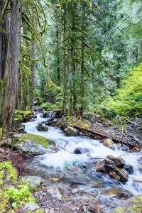 Cascade Mountain Prints: Copper Creek in Gifford-Pinchot National Forest