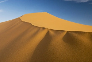 Colorado Plateau Prints: Coral Pink Sand Dunes State Park, Utah