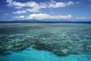 Images Dated 8th October 2007: Coral Reef, Green Island, Great Barrier Reef Marine Park, North Queensland, Australia