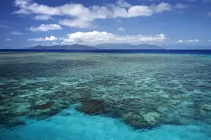 Green Is Np Prints: Coral Reef, Green Island, Great Barrier Reef Marine Park, North Queensland, Australia