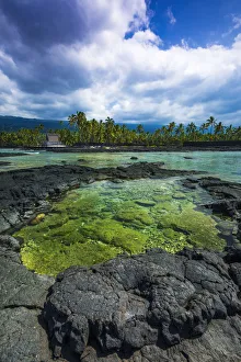 Lagoon Prints: Coral reef and haiku, Pu uhonua O Honaunau National Historic Park (City of Refuge)