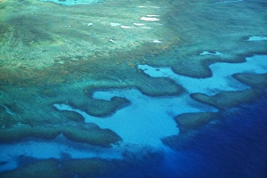 Fringing Prints: Coral reef near Monuriki Island, Mamanuca Islands, Fiji, South Pacific - aerial