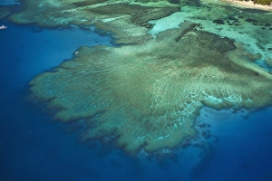 Fringing Prints: Coral reef beside Tokoriki Island, Mamanuca Islands, Fiji, South Pacific - aerial