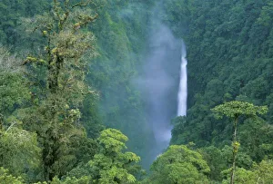 Cordillera Central Prints: Cordillera Central, Angel (Congo) Falls, many waterfalls on Caribbean slope, Costa RIca