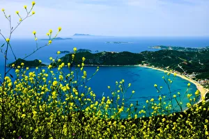 Greece Collection: Corfu, Greece. Aerial view of a circular beach and land on Corfu with yellow wild flowers