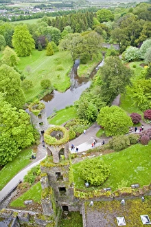 Images Dated 19th May 2006: Cork, Ireland. The infamous Blarney Castle hosts the Blarney Stone which is said