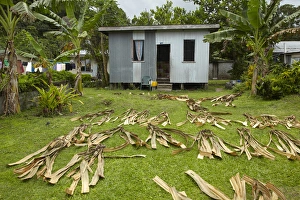 Housing Prints: Corrugated iron house and drying leaves, Namaqumaqua village, Coral Coast, Viti Levu