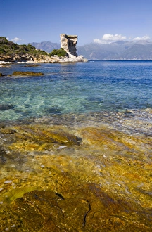 Wide Angle Prints: Corsica. France. Europe. Clear water in Gulf of St. Florent (Golfe de St. Florent)