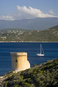 Corsica Prints: Corsica. France. Europe. Remains of Genoese tower on Point Mortella (Punta Mortella)