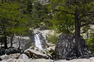 Brook Prints: Corsica. France. Europe. Waterfall at Cascades des Anglais. Along the GR20 trail (aka