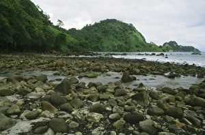 Costa Rican Prints: Costa Rica, beach at Cocos Island