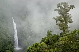 Costa Rica, cloud forest in mountains near La Paz, San Fernando Waterfall