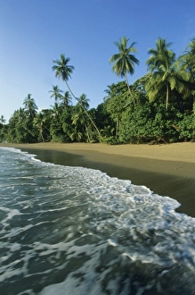 Secluded Prints: Costa Rica, Corcovado National Park, San Pedrillo Wilderness, coastline on Osa Peninsula