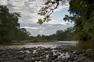 Rushing Prints: Costa Rica, environment, natural beauty