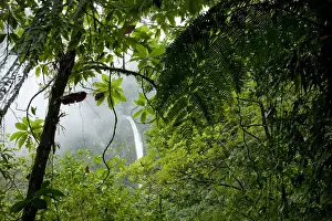 Images Dated 23rd January 2009: Costa Rica, La Fortuna, Waterfall in rainforest along Fortuna River