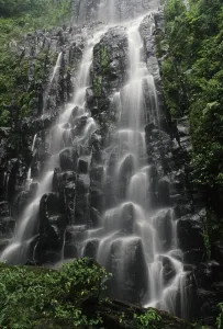 Pretty Prints: Costa Rica, Las Tablas, La Amistad, Rio Negro, waterfall