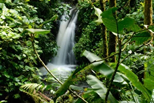 Images Dated 8th September 2006: Costa Rica, Monteverde cloud forest waterfall