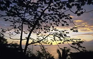Costa Rica Prints: Costa Rica, Osa Peninsula, Lapa Rios Reserve near Puerto Jimenez, view of Golfo Dulce