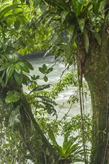 Costa Rica, Sarapiqui River Valley. Rio Puerto Viejo river in rainforest. Credit as