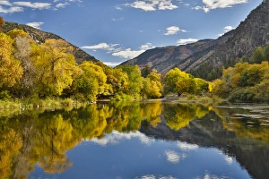 Images Dated 1st October 2016: Cottonwoods, Maple and oak trees in fall color along Logan River, Utah, in the Wasatch