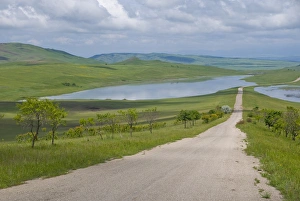 Lookout Prints: Country road leading through meadows, Davit Gareja, Georgia, Caucasus