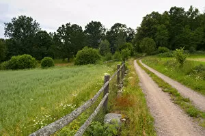 Country road, wooden fence and field. Through the forest. Smaland region. Sweden, Europe