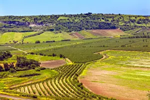 Vegetable Prints: Countryside Farmland Farms Agriculture Obidos Portugal