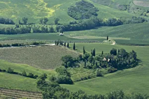 Images Dated 28th April 2007: Countryside near Montepulciano, Val d Orcia, Siena province, Tuscany, Italy