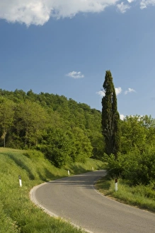 Siena Prints: Countryside near Montepulciano, Val d Orcia, Siena province, Tuscany, Italy