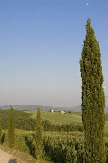 Images Dated 28th April 2007: Countryside near Pienza. Val d Orcia, Siena province, Tuscany, Italy
