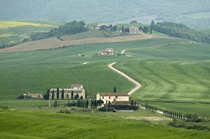 Countryside near San Quirico d Orcia, Val d Orcia, Siena province, Tuscany, Italy