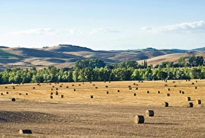 Straw Prints: Countryside near San Qurico d Orcia, Siena, Tuscany, Italy
