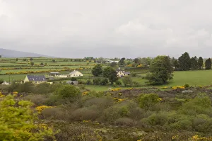 Images Dated 16th May 2006: County Wicklow, Ireland