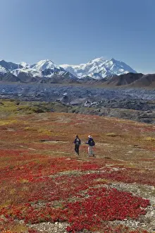 Gravel Prints: A couple hikes on a colorful carpet of autumn tundra next to the Muldrow Glacier