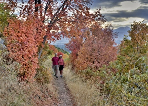 Wasatch Prints: Couple on trail among fall foliage, above Bonneville Shoreline in Sandy, Uinta Wasatch