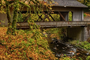 Prints of Covered bridge over Cedar Creek in Woodland, Washington State, USA Images Dated 2024 April: Covered bridge over Cedar Creek in Woodland, Washington State, USA