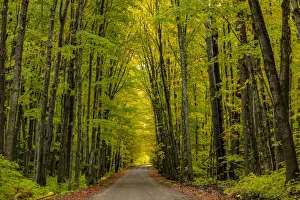 Gravel Road Prints: Covered Road near Houghton in the Upper Peninsula of Michigan, USA