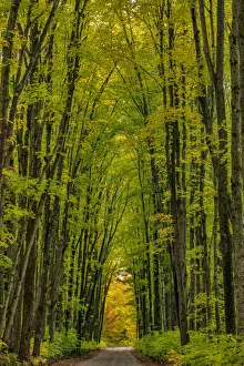 Images Dated 13th October 2018: Covered road near Houghton in the Upper Peninsula of Michigan, USA